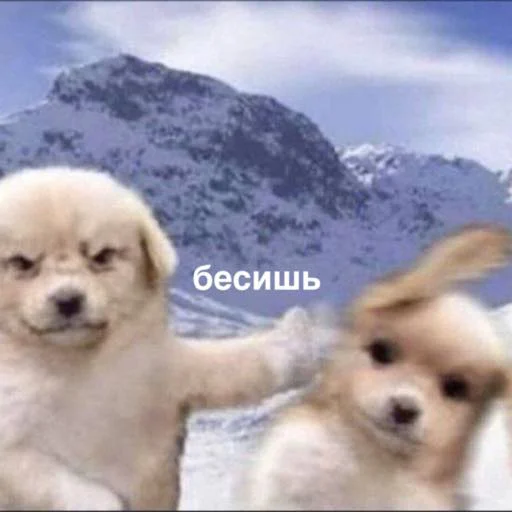 Sticker susik_zuzik - 1