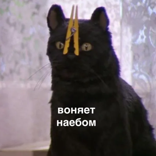 Sticker susik_zuzik - 1