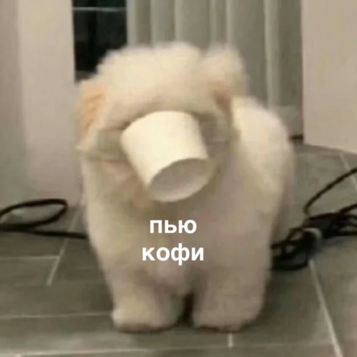 Sticker susik_zuzik - 1