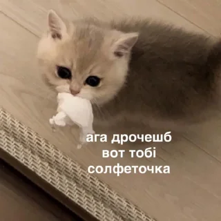 Sticker susik_zuzik - 0