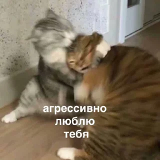 Sticker susik_zuzik - 5