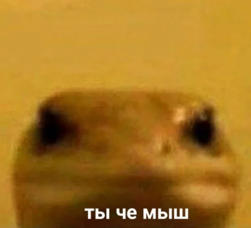 Sticker susikzuzik - 1