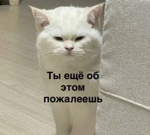 Стикер susikzuzik - 1