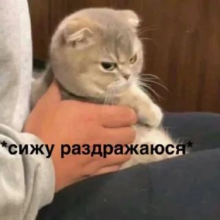 Стикер susik zuzik - 4