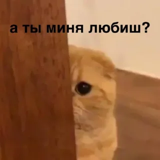 Стикер susik zuzik - 6