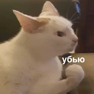 Стикер susik zuzik - 3