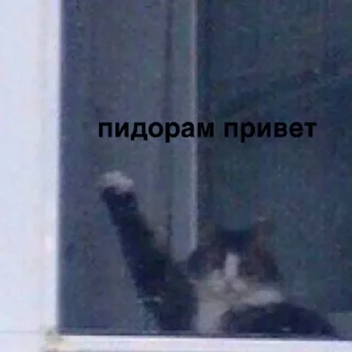 Стикер susik zuzik - 0