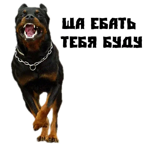 Стикер Сутулая Собака - 10