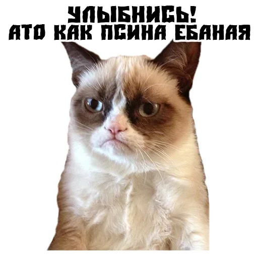 Стикер Сутулая Собака - 6