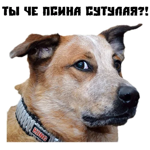 Стикер Сутулая Собака - 3