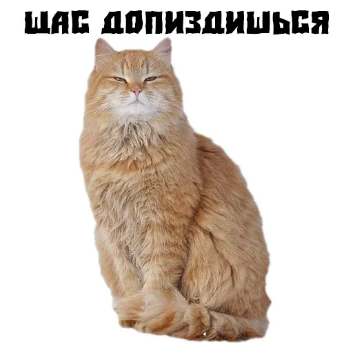 Стикер Сутулая Собака - 2