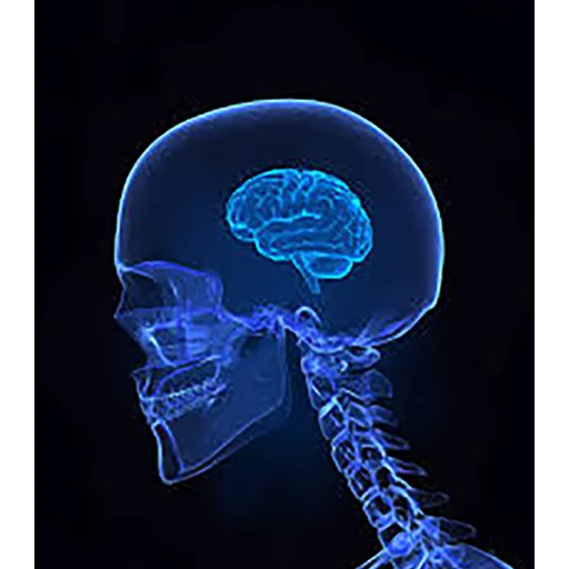 Sticker svet_mozg - 1