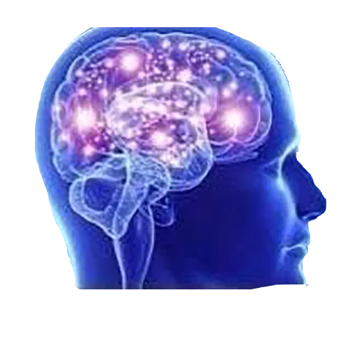 Sticker svet_mozg - 1