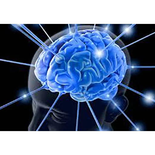 Sticker svet_mozg - 1