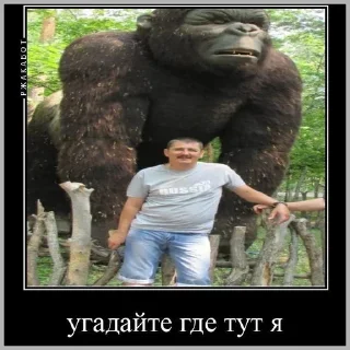 Стикер элпэ - 5