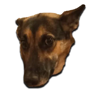 Стикер Tupa Svetlaya - 0