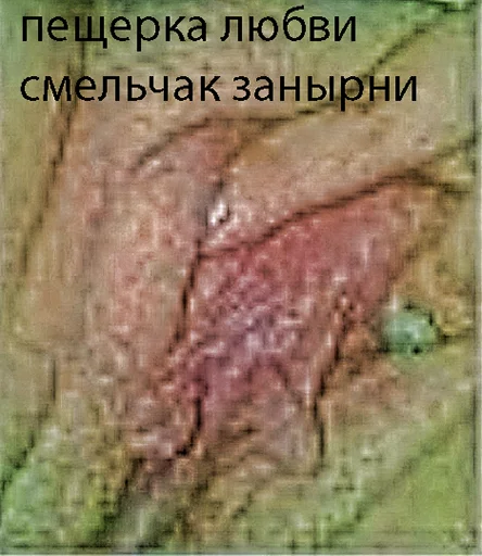 Sticker svinJane - 1