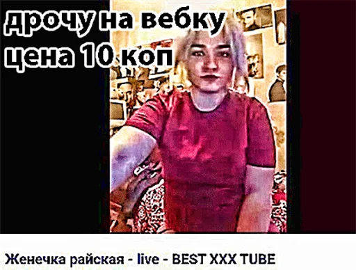 Sticker svinJane - 1