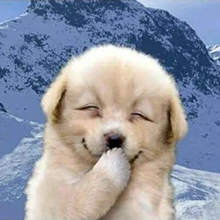 Sticker СВИСТОКЛЬ - 1