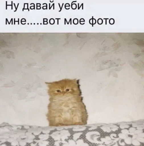 Sticker 🧡люблю любить пиздец🥞 @amare_shit - 3