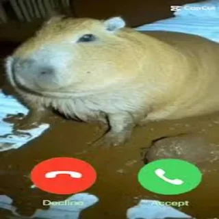 Sticker СВОИ - 8