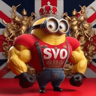 Sticker СВОИ - 4