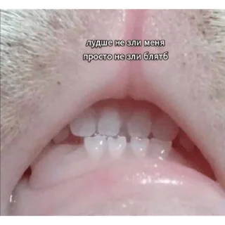 Стикер ebat hohlov ebat - 7