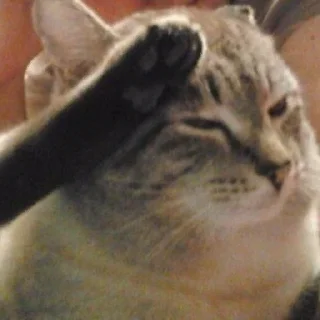 СВП пак от Амона - млекопитающее