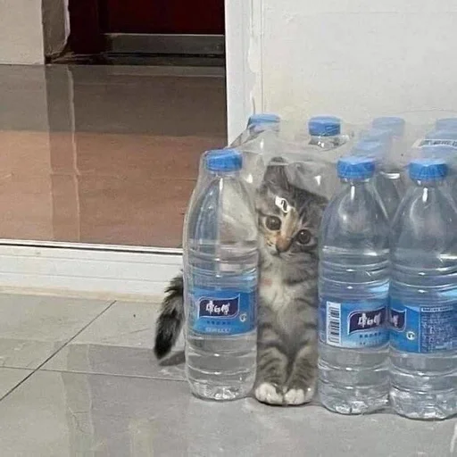 drinking water bottle food