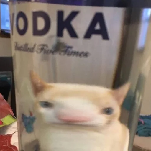 Стикер коты милашки не только коты - 5