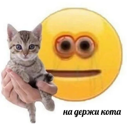 Стикер коты милашки не только коты - 0