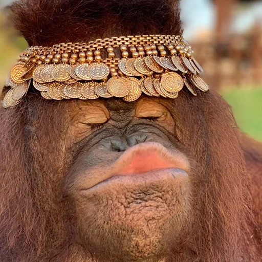 Sticker @sweetbaboons - 9