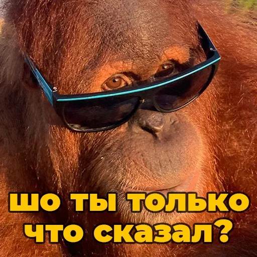 Sticker @sweetbaboons - 5