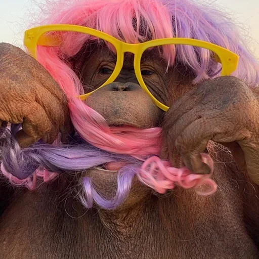 Sticker @sweetbaboons - 4