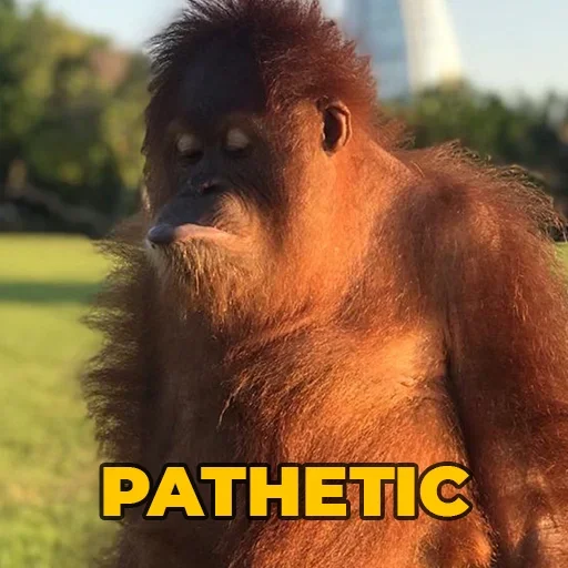 Sticker @sweetbaboons - 0