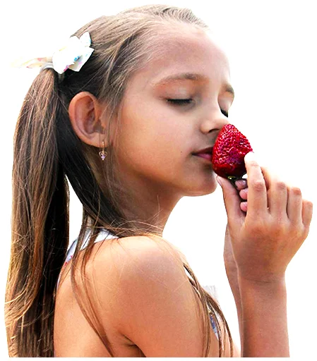 Sticker sweetdollMD - 1