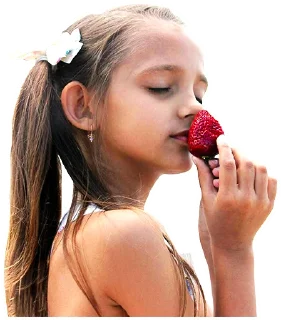 Sticker Sweet ❤️ Doll New - 8