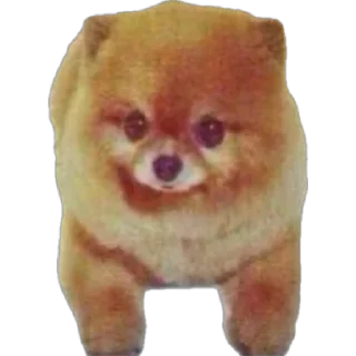 Sticker спешал фор свагахоликс чат - 3