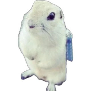 Sticker спешал фор свагахоликс чат - 4