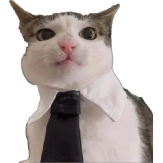 Sticker спешал фор свагахоликс чат - 6