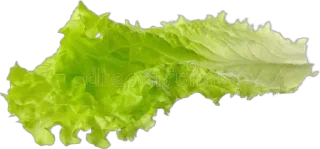 Sticker Больше стиков тут: @stikery4 - 1