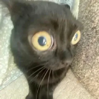 Стикер sxzkns - 7