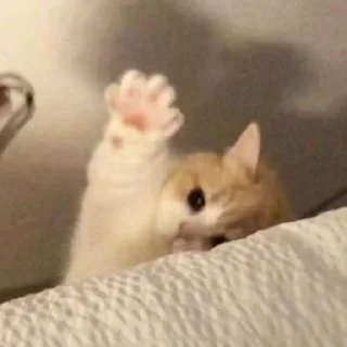 Стикер sxzkns - 1