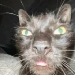 Стикер sxzkns - 4