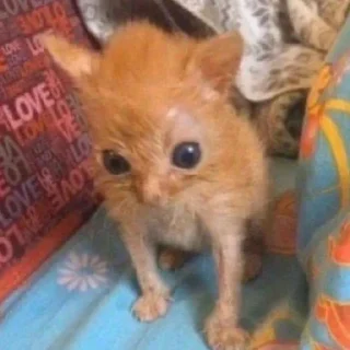 Стикер sxzkns - 6