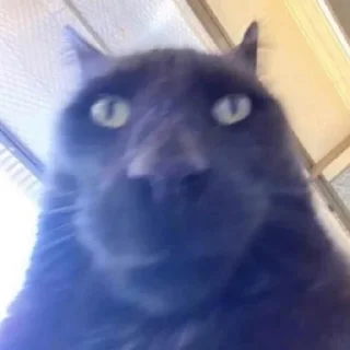 Стикер sxzkns - 10