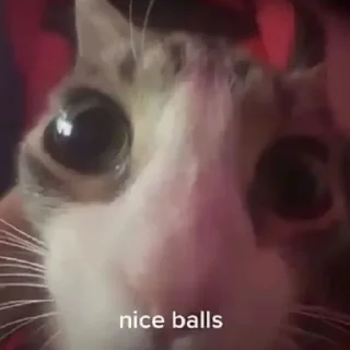 Стикер sxzkns - 8