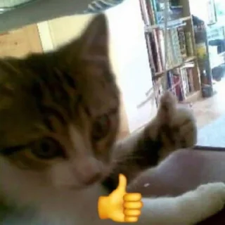 Стикер sxzkns - 3