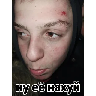 Sticker Сучівка 🦆💕 - 4