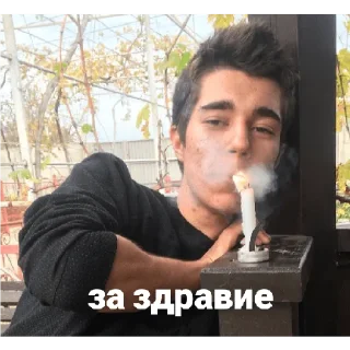 Sticker Сучівка 🦆💕 - 6